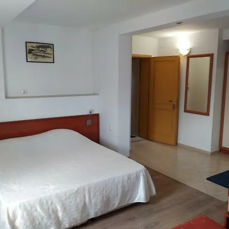 ник アセノヴグラト